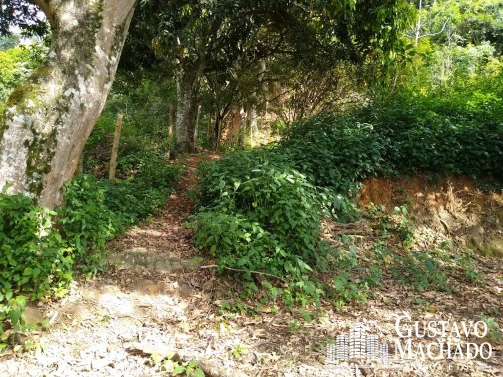 Terreno, 2 hectares - Foto 4