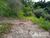 Terreno, 2 hectares - Foto 4