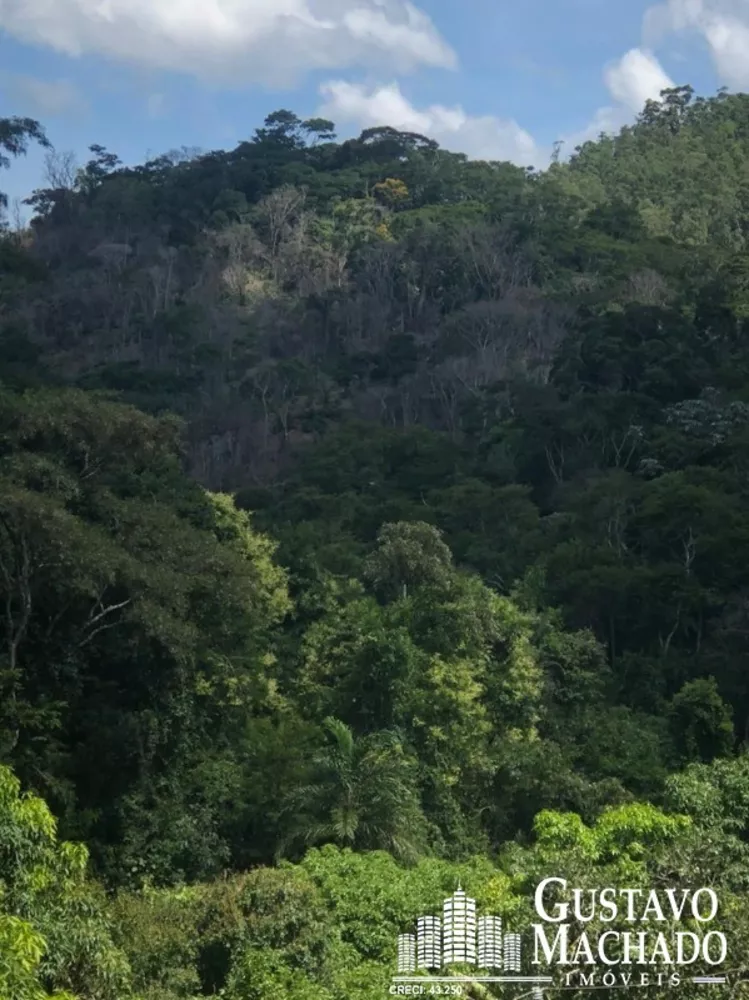 Chácara, 4 quartos, 350 m² - Foto 15