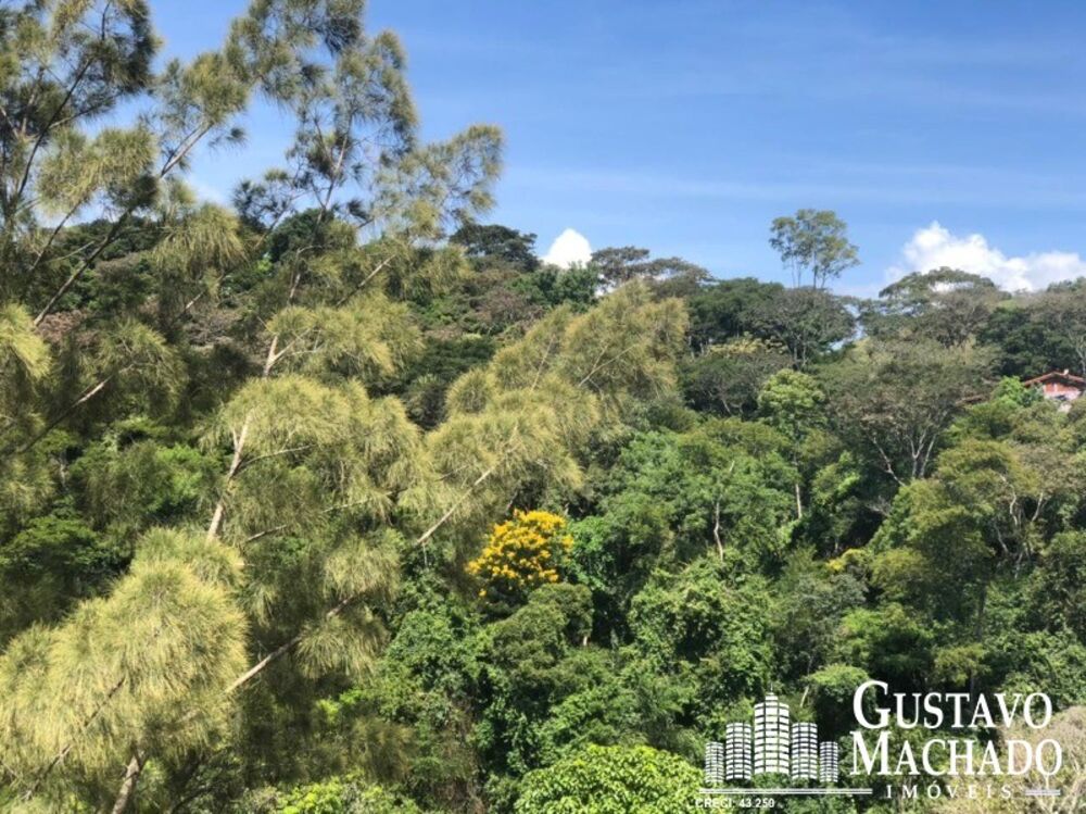 Chácara à venda com 4 quartos, 350m² - Foto 4