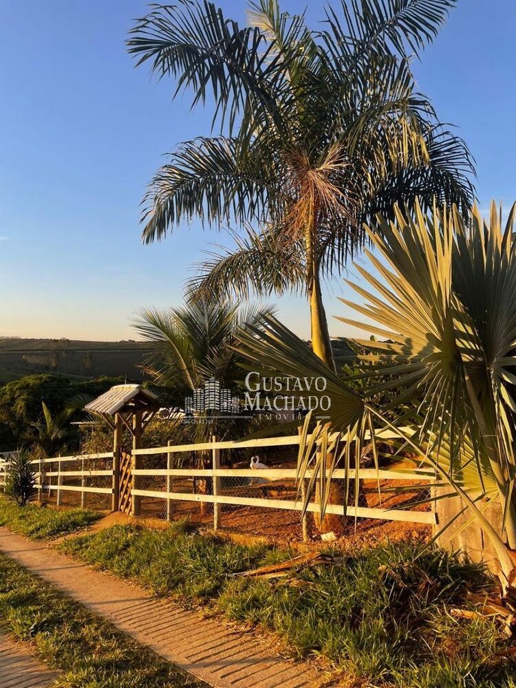Casa à venda com 2 quartos, 800m² - Foto 4