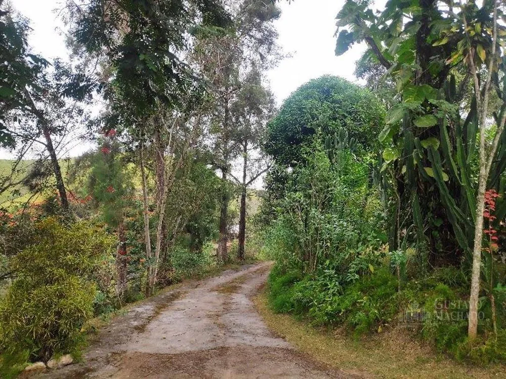 Sítio, 5 quartos, 1 hectares - Foto 12