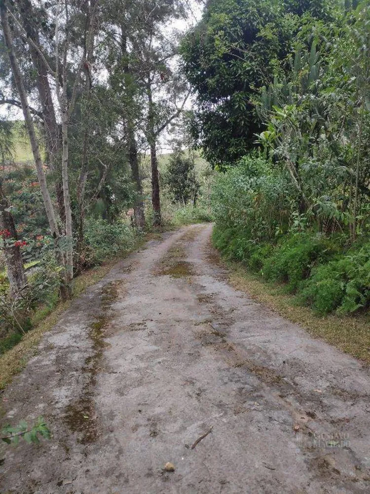 Sítio, 5 quartos, 1 hectares - Foto 77