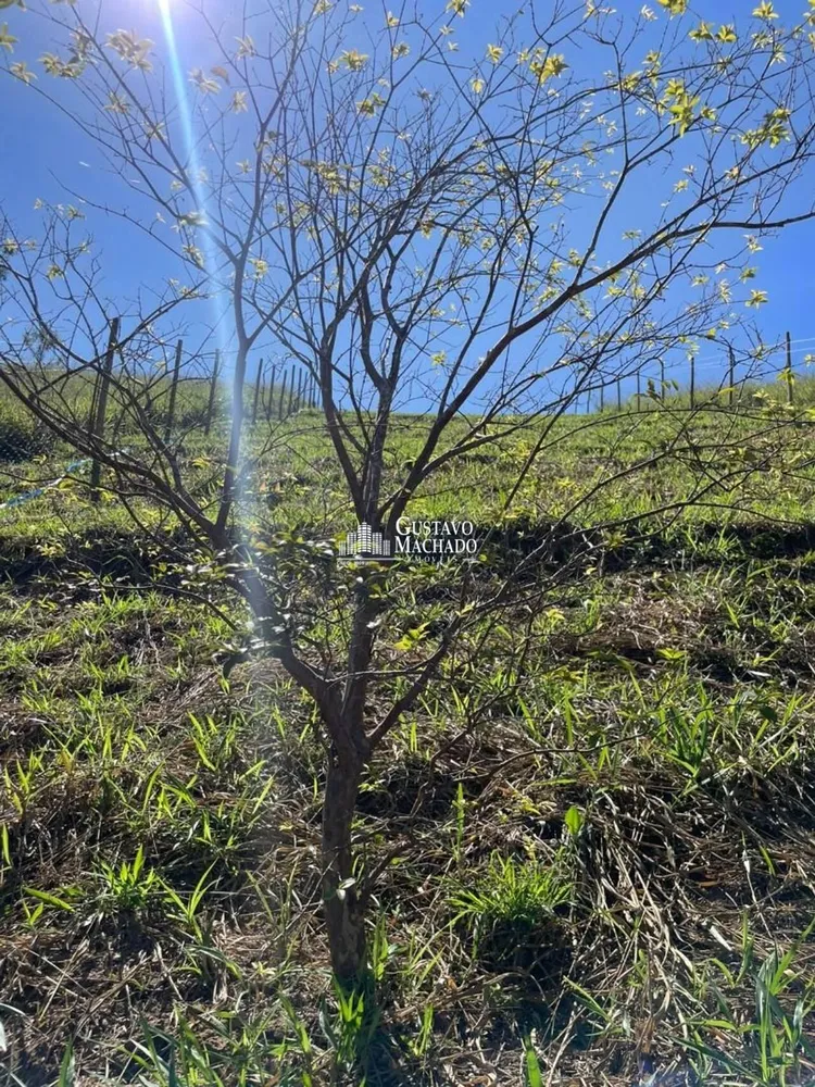Terreno, 1100 m² - Foto 19