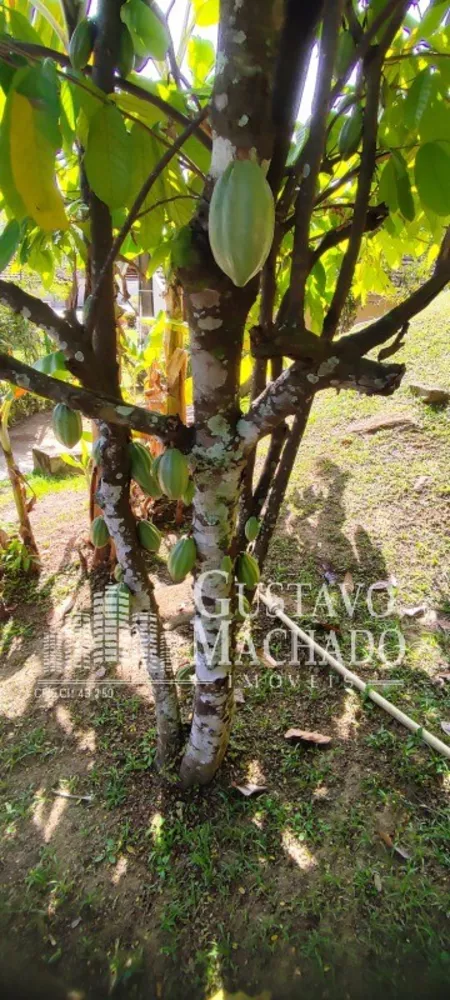 Casa, 3 quartos - Foto 31