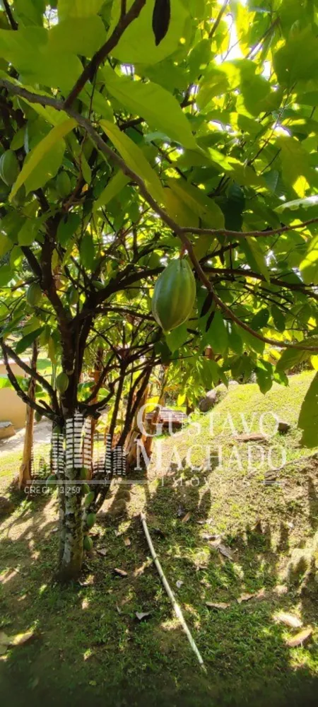 Casa, 3 quartos - Foto 30