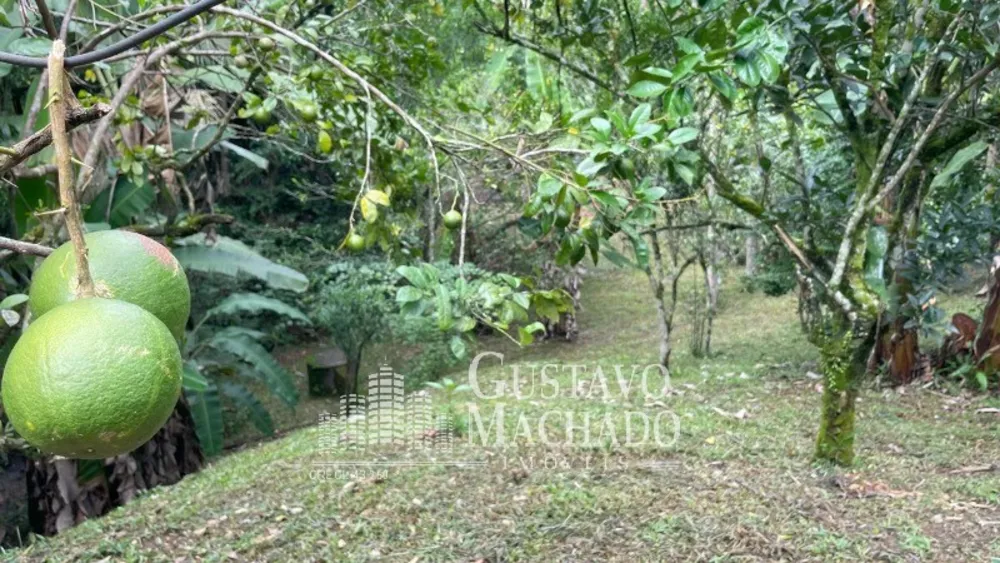 Sítio, 3 quartos, 80 m² - Foto 23