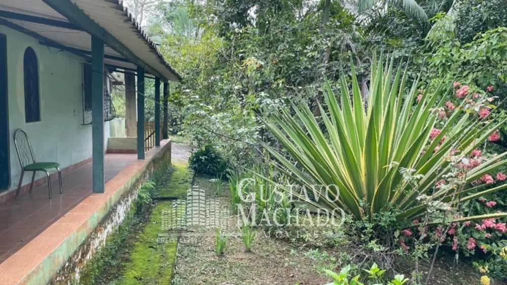 Sítio, 3 quartos, 80 m² - Foto 2