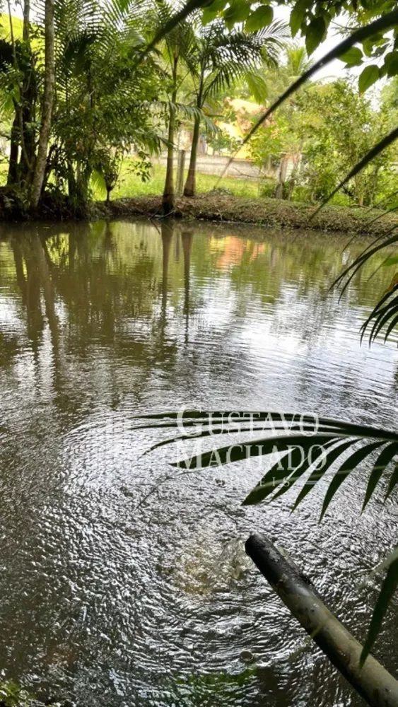 Sítio, 3 quartos, 80 m² - Foto 27