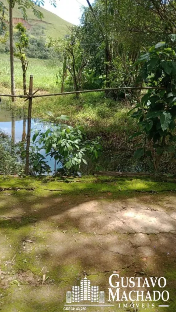 Sítio, 2 quartos, 5 hectares - Foto 6