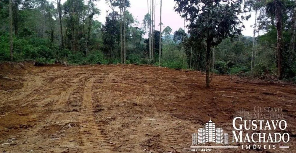 Terreno, 3 hectares - Foto 4