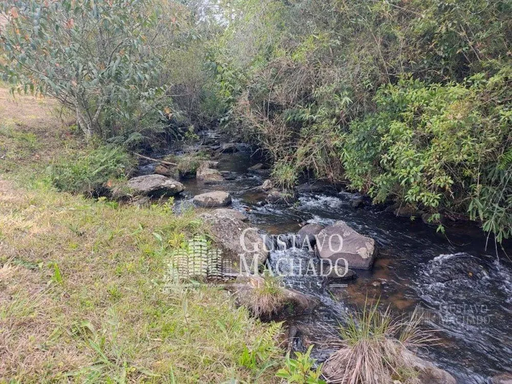 Sítio, 5 quartos, 6 hectares - Foto 11