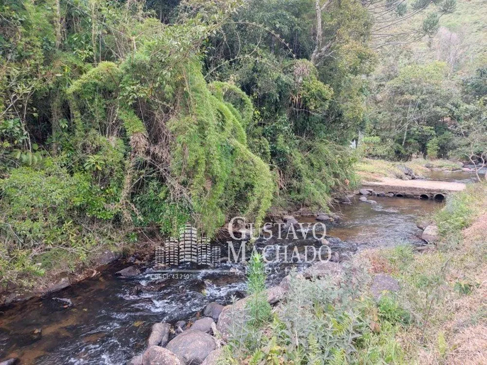 Sítio, 5 quartos, 6 hectares - Foto 10