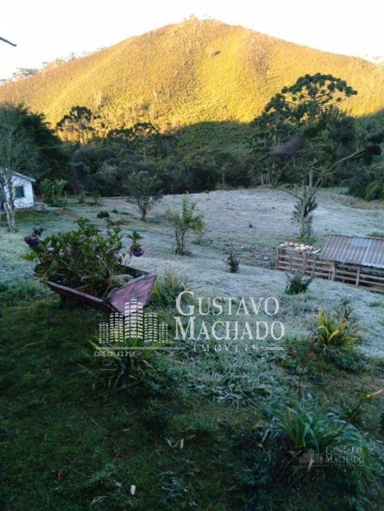 Sítio, 5 quartos, 6 hectares - Foto 8