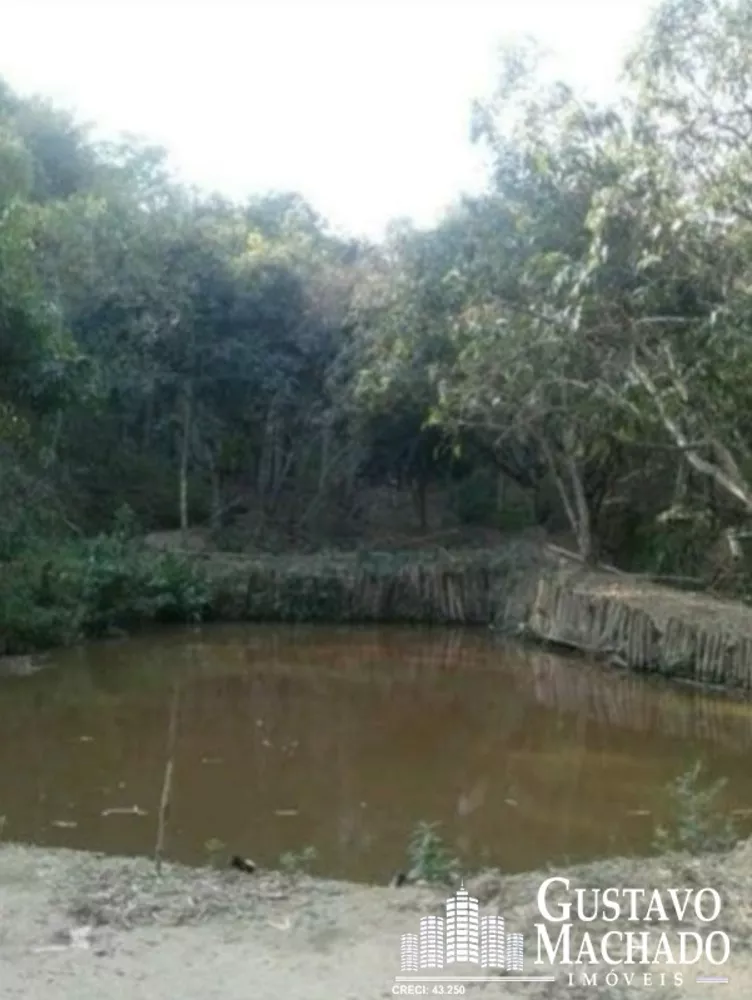 Chácara, 3 quartos, 1 hectares - Foto 6