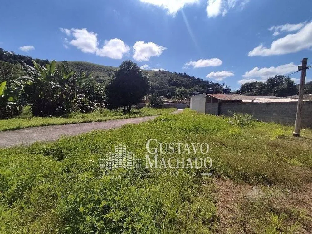 Chácara, 3 quartos, 4927 m² - Foto 4