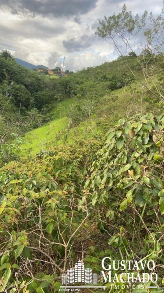 Terreno, 1 hectares - Foto 12