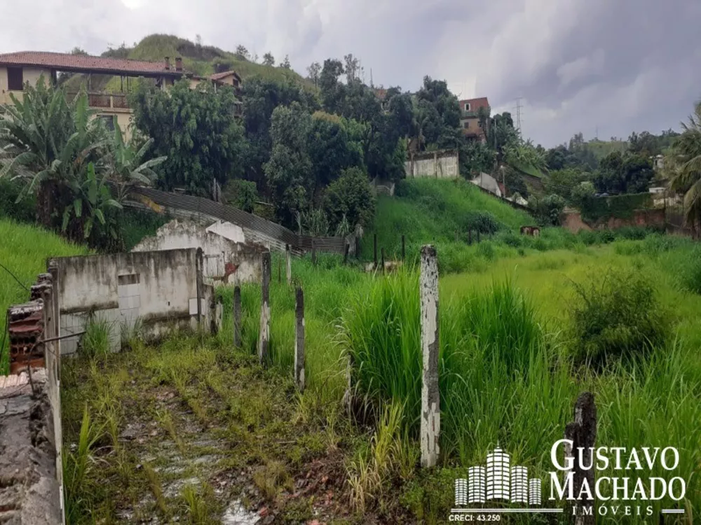 Terreno, 4700 m² - Foto 5