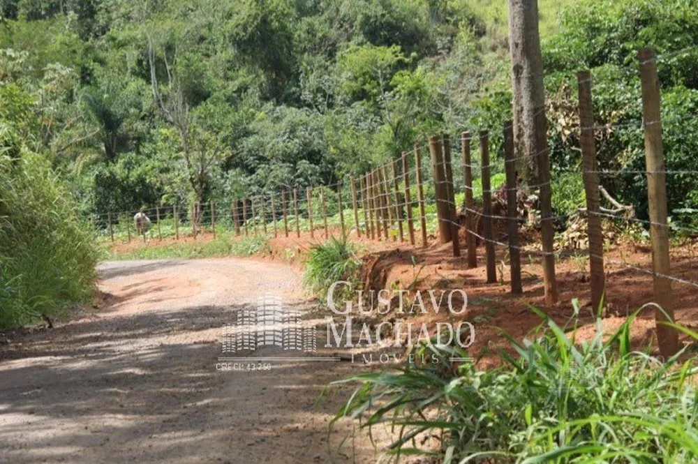 Fazenda, 40 hectares - Foto 8