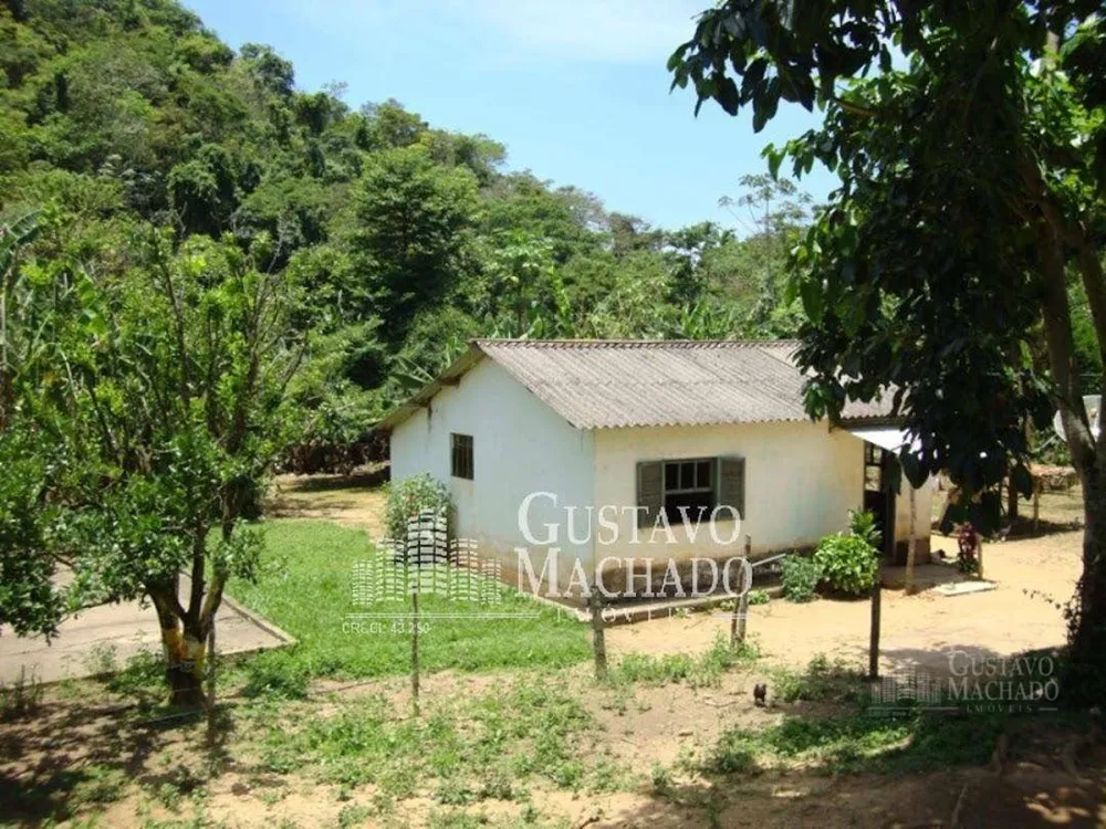 Fazenda, 40 hectares - Foto 3