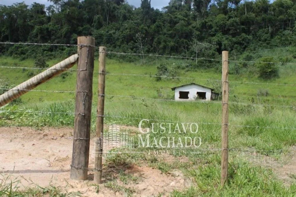 Fazenda, 40 hectares - Foto 10