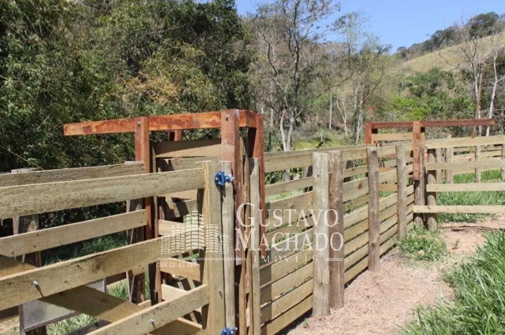 Fazenda, 40 hectares - Foto 15