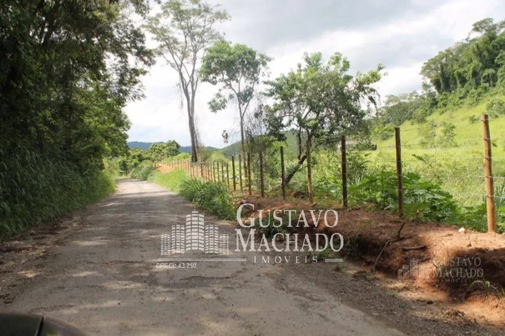 Fazenda, 40 hectares - Foto 12