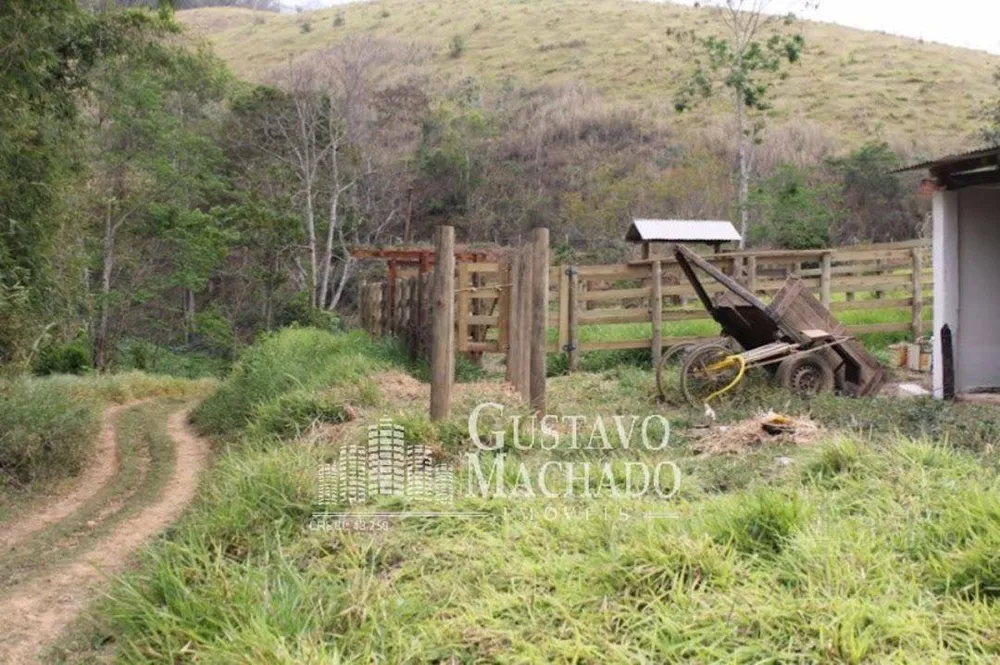 Fazenda, 40 hectares - Foto 4