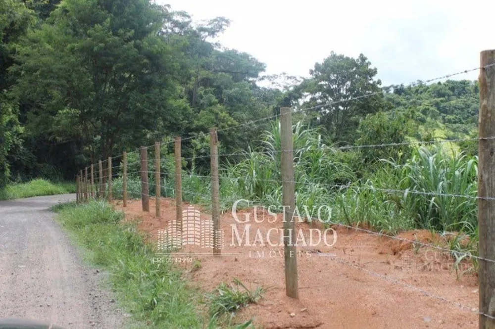 Fazenda, 40 hectares - Foto 1