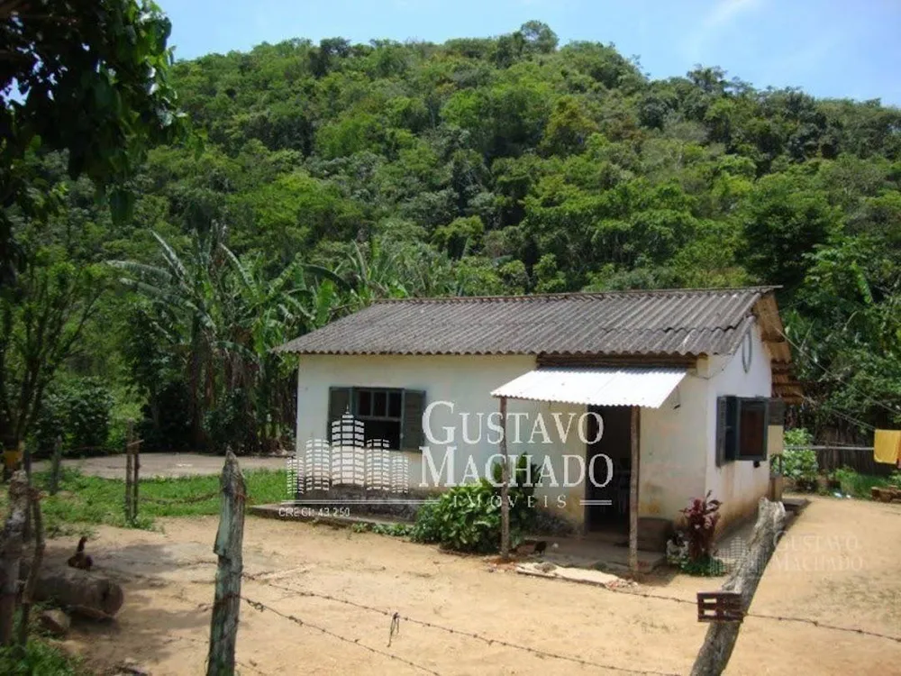 Fazenda, 40 hectares - Foto 6