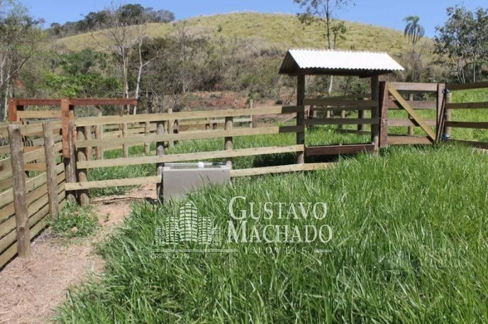 Fazenda, 40 hectares - Foto 11