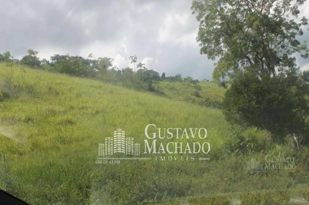 Fazenda, 40 hectares - Foto 16