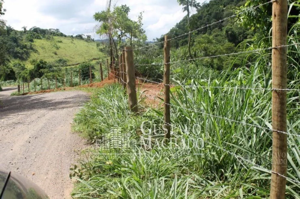 Fazenda, 40 hectares - Foto 2