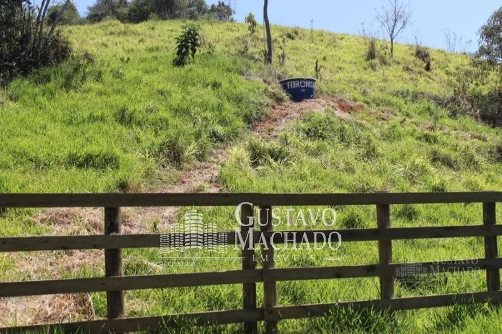 Fazenda, 40 hectares - Foto 14
