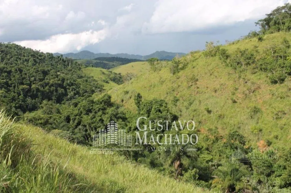 Fazenda, 40 hectares - Foto 17