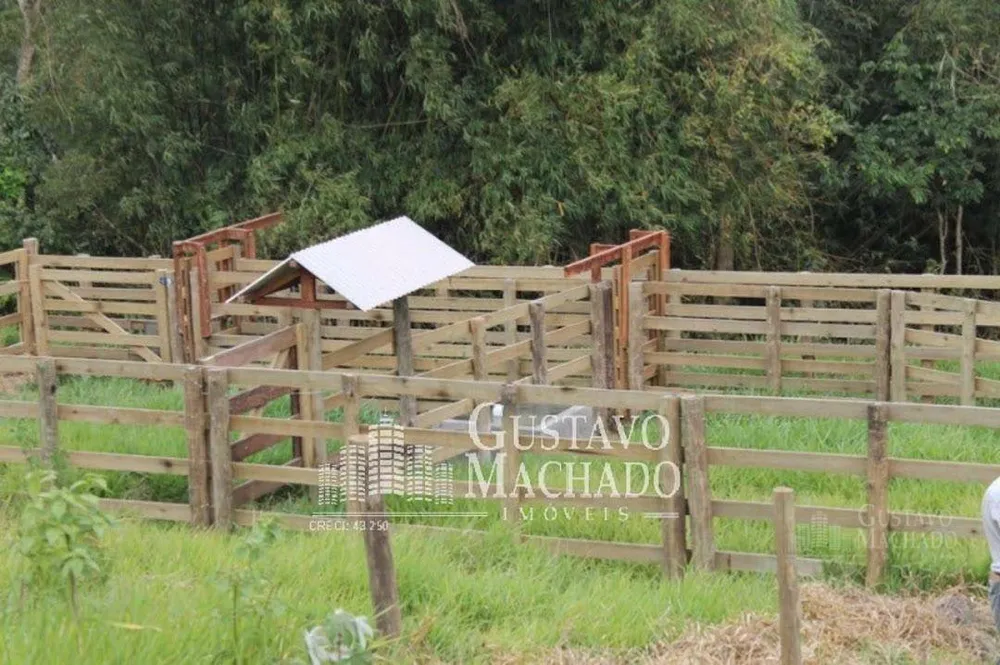 Fazenda, 40 hectares - Foto 5