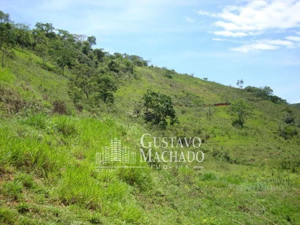 Fazenda, 40 hectares - Foto 9