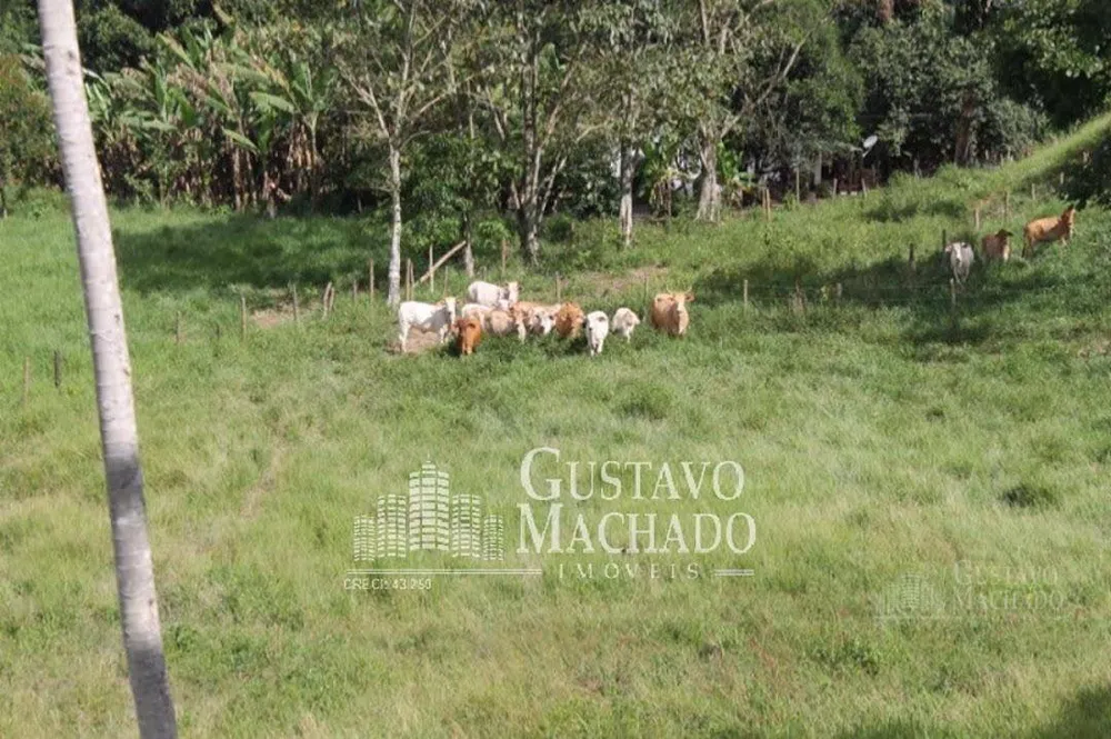 Fazenda, 40 hectares - Foto 13