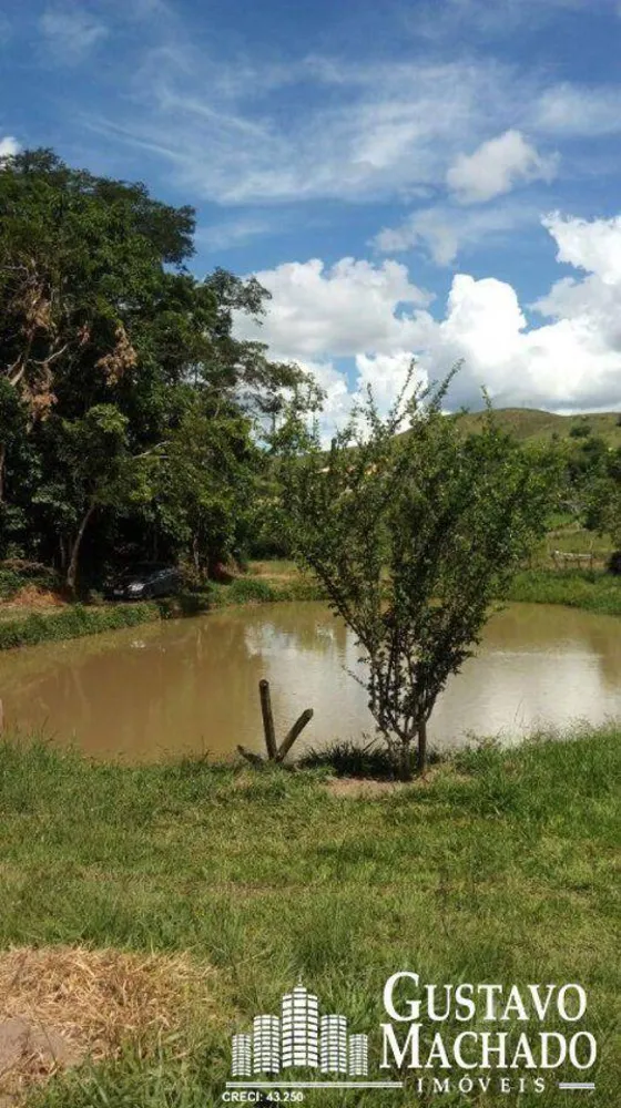 Terreno, 2 hectares - Foto 1