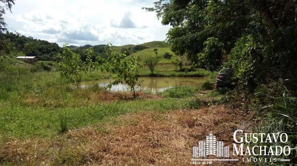 Terreno, 2 hectares - Foto 4