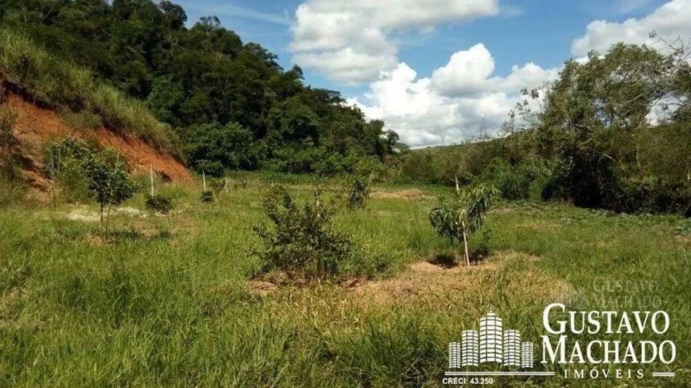 Terreno, 2 hectares - Foto 2