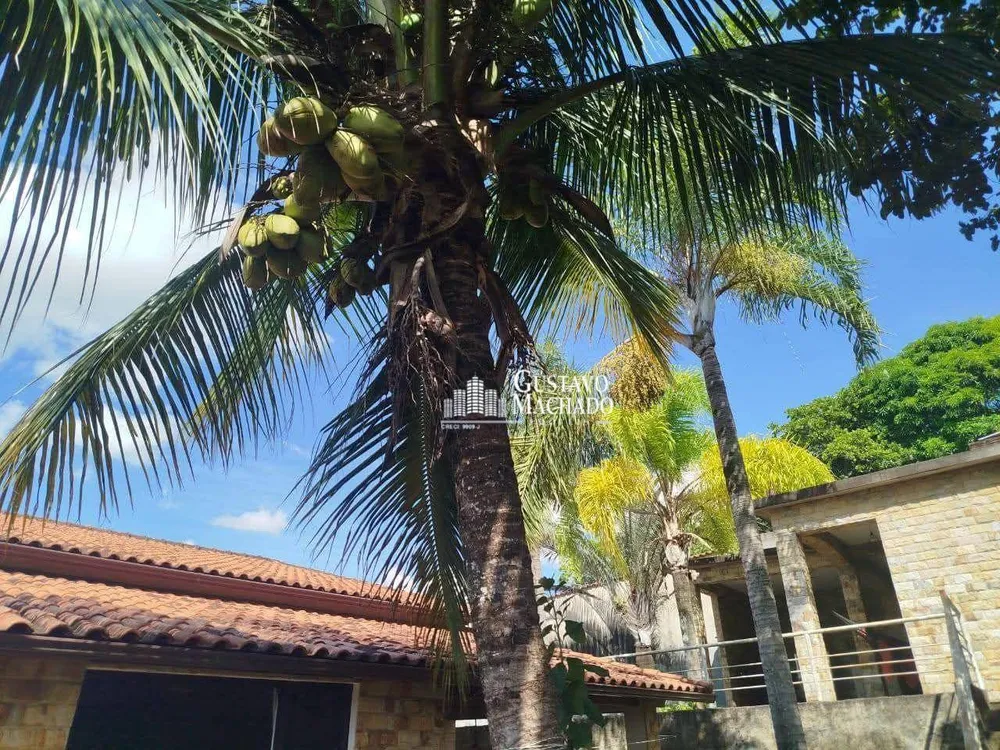Casa, 4 quartos, 376 m² - Foto 11