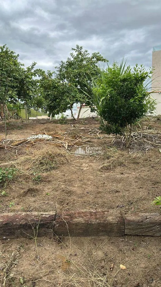 Casa, 4 quartos, 248 m² - Foto 47