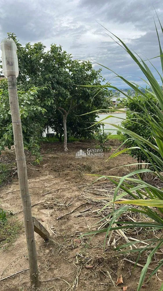 Casa, 4 quartos, 248 m² - Foto 46