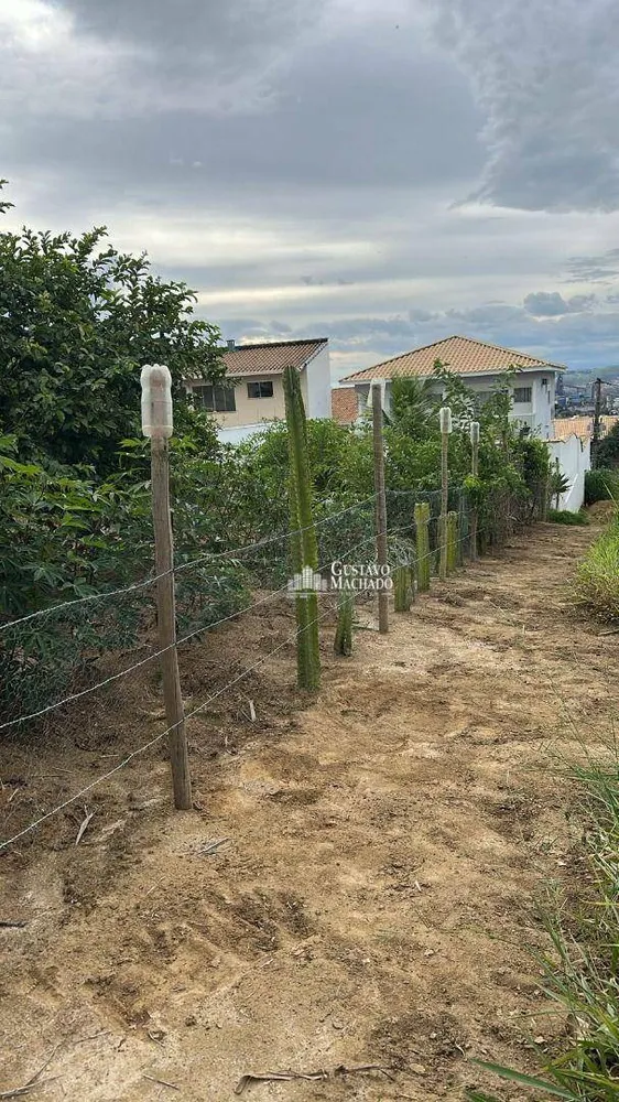 Casa, 4 quartos, 248 m² - Foto 45