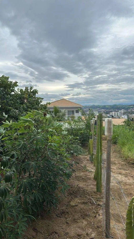 Casa, 4 quartos, 248 m² - Foto 42