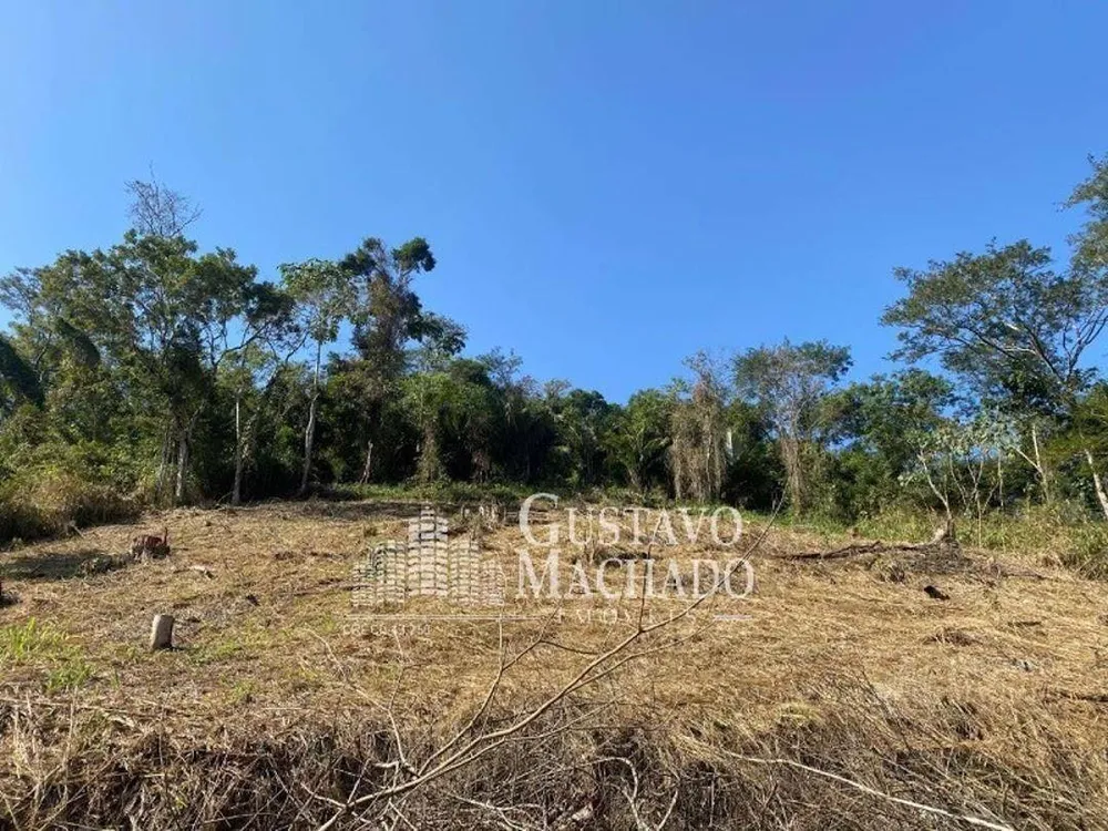 Terreno, 3000 m² - Foto 3
