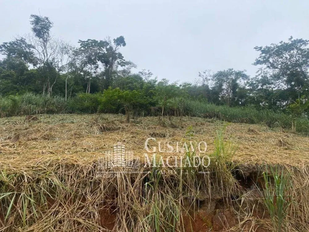 Terreno, 3000 m² - Foto 2