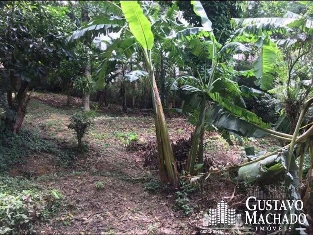 Casa, 4 quartos, 450 m² - Foto 16