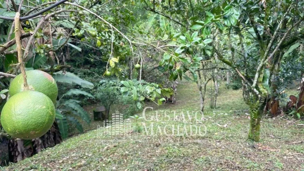 Sítio, 3 quartos, 5 hectares - Foto 23